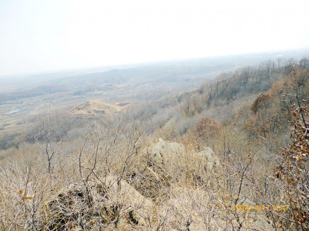 P1050319.jpg