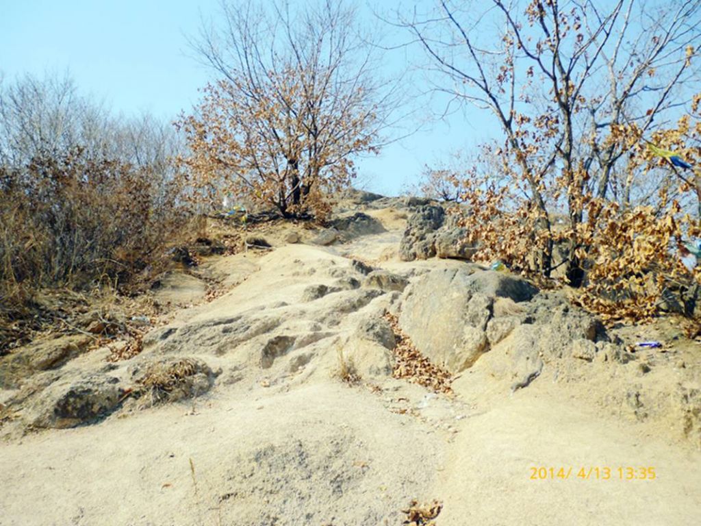 P1050331.jpg