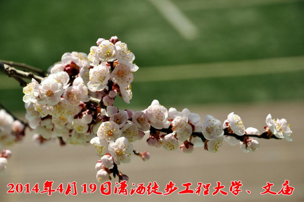 DSC_0097_����.JPG