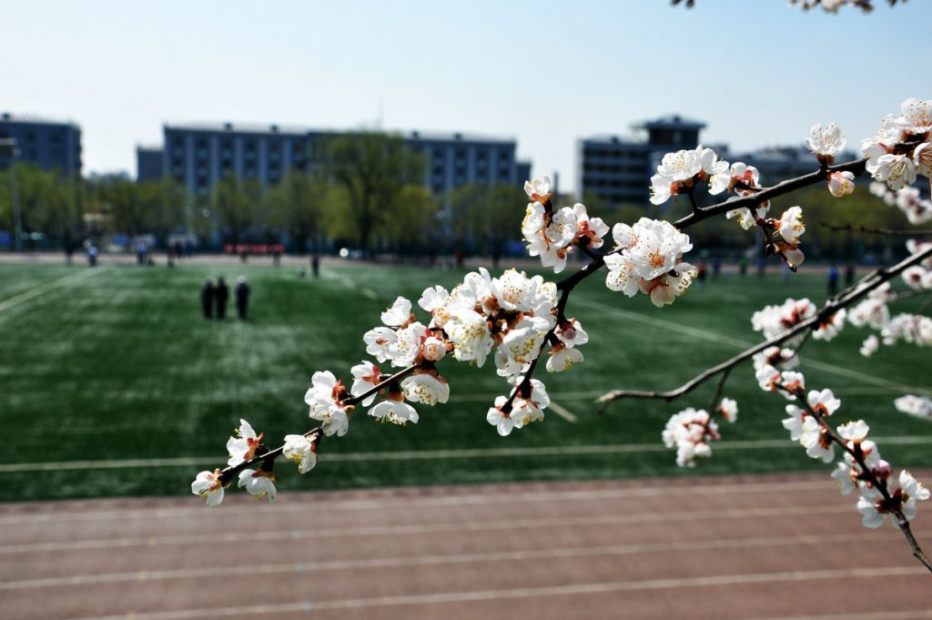 DSC_0106.JPG