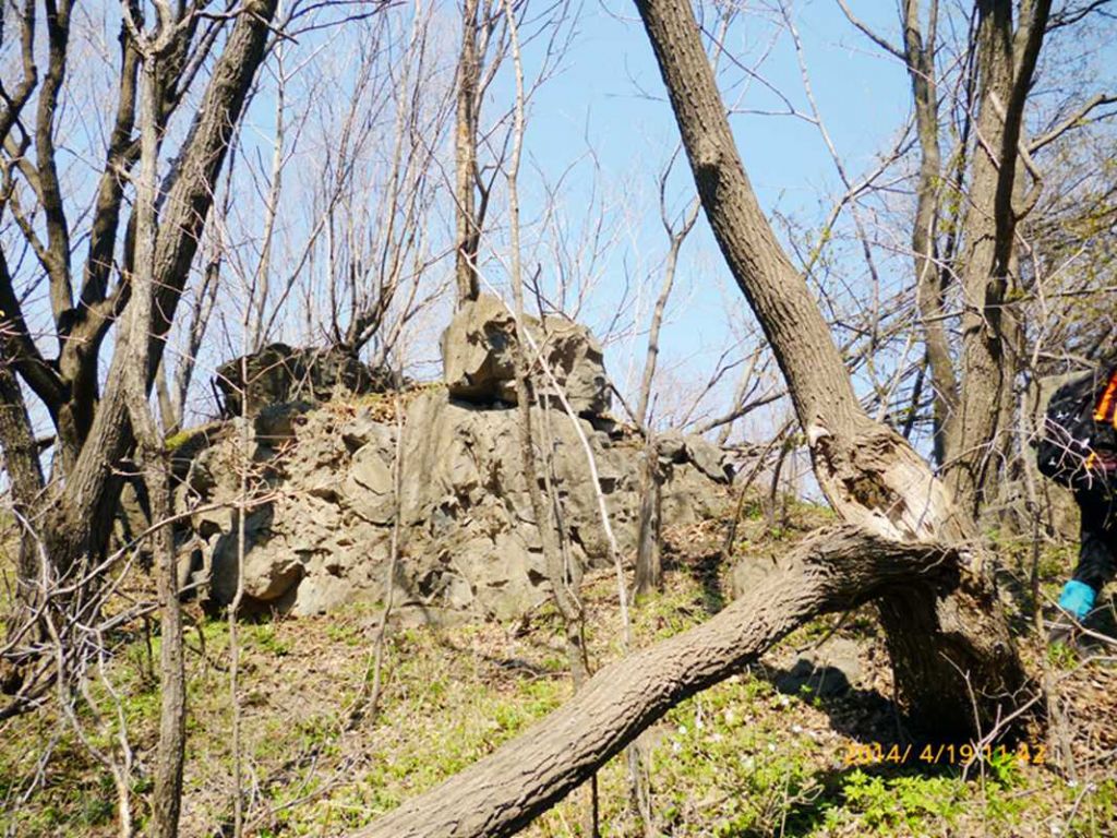 P1050370.jpg