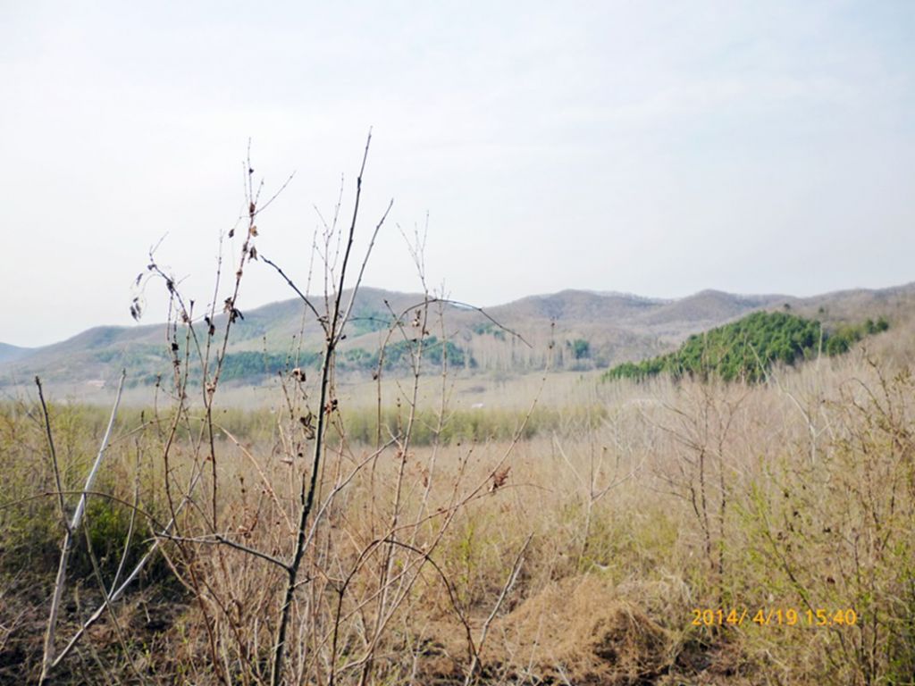 P1050414.jpg