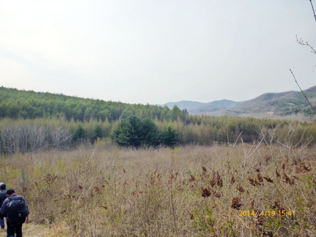 P1050416.jpg