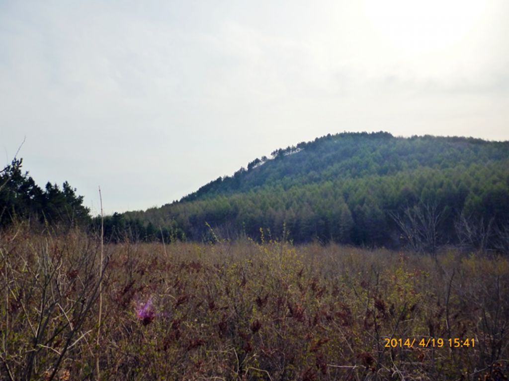 P1050417.jpg