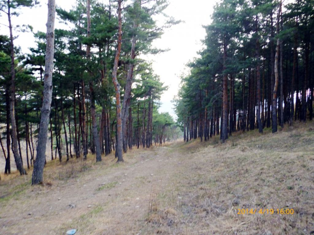 P1050419.jpg
