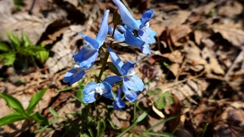 P1020461.JPG
