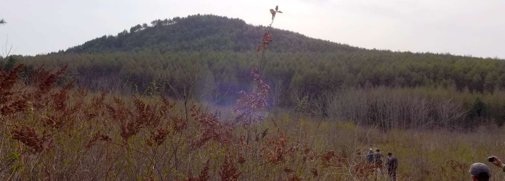P1020467.JPG