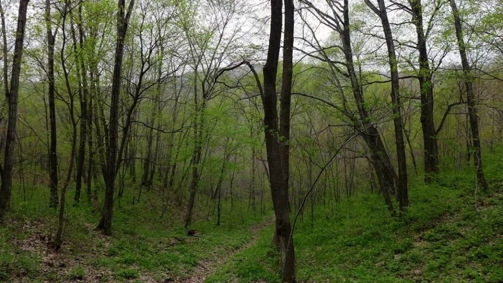 P1020481.JPG