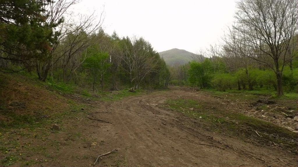 P1020552.JPG