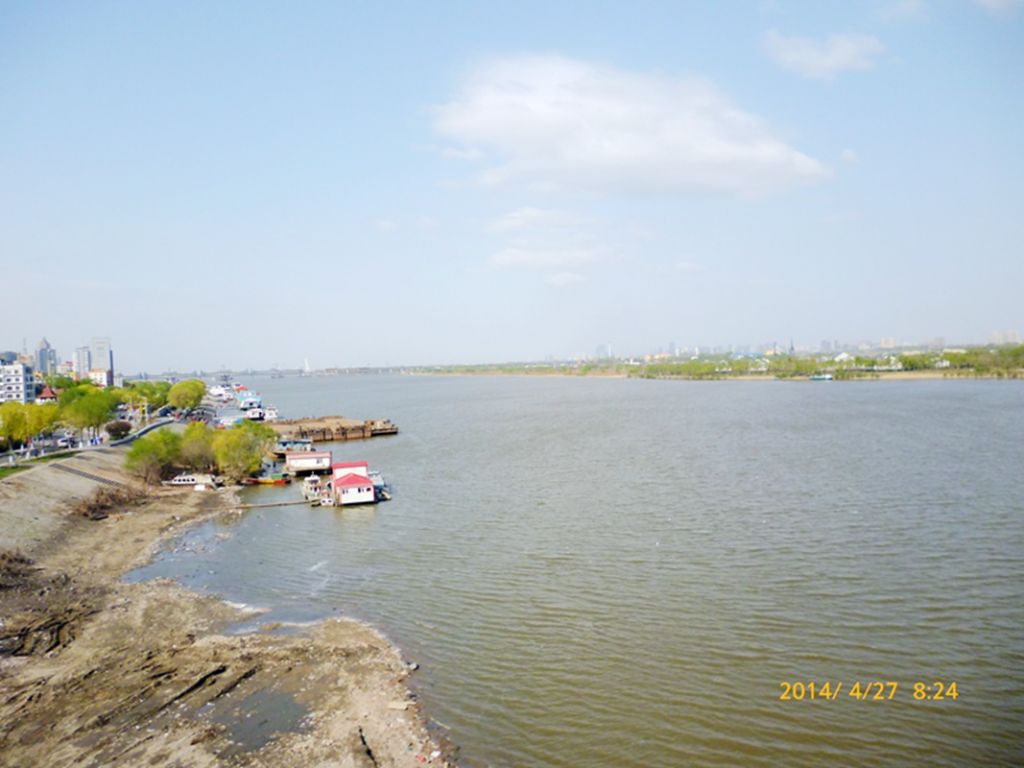 P1050428.jpg