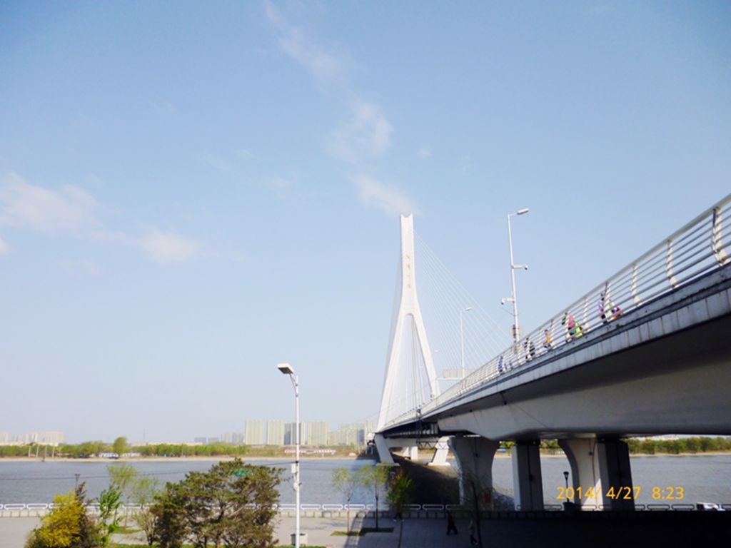 P1050425.jpg
