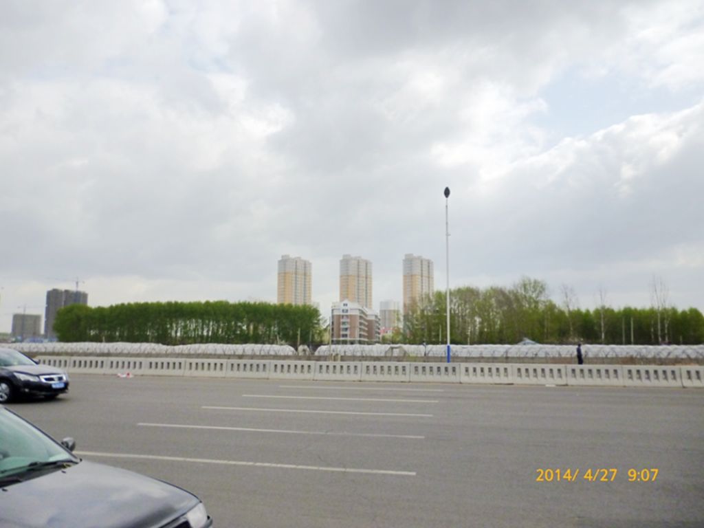 P1050439.jpg
