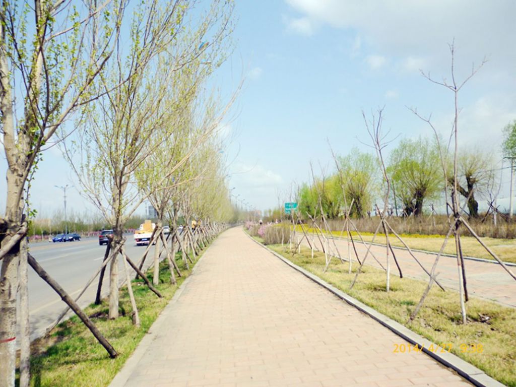P1050443.jpg