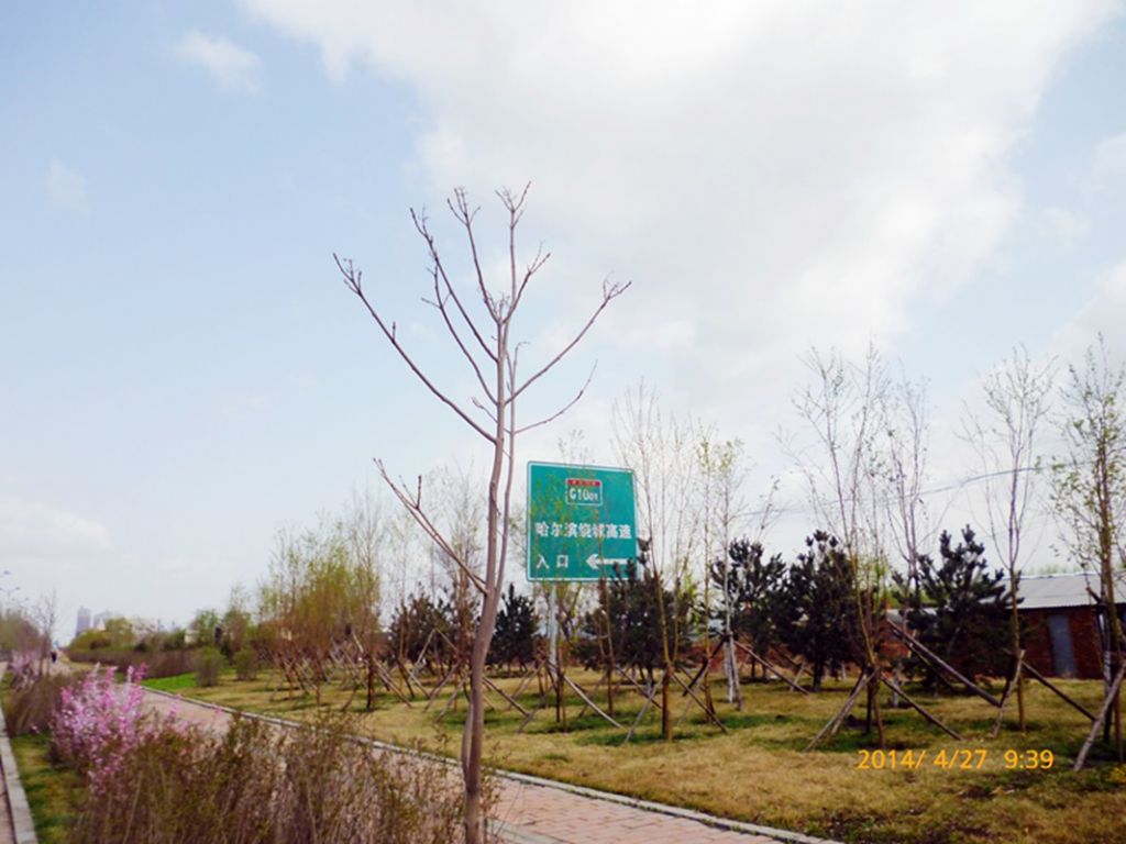P1050444.jpg
