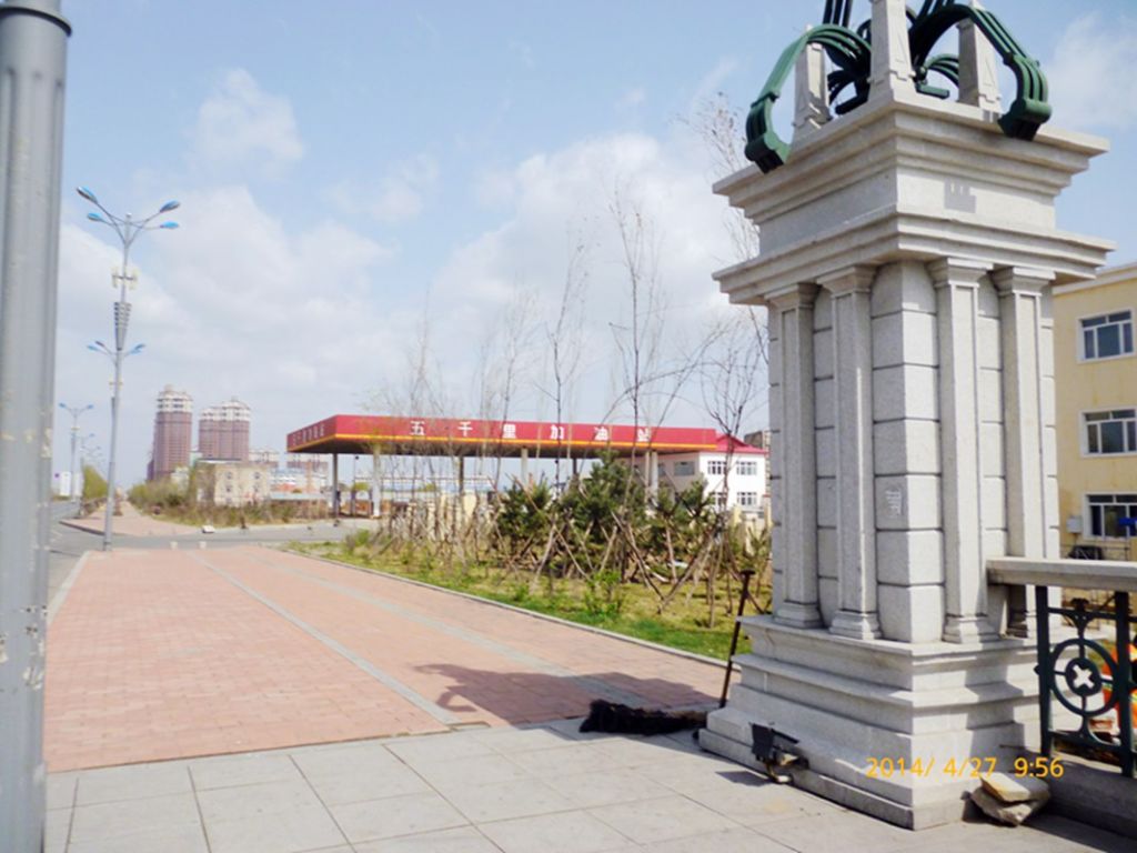 P1050446.jpg