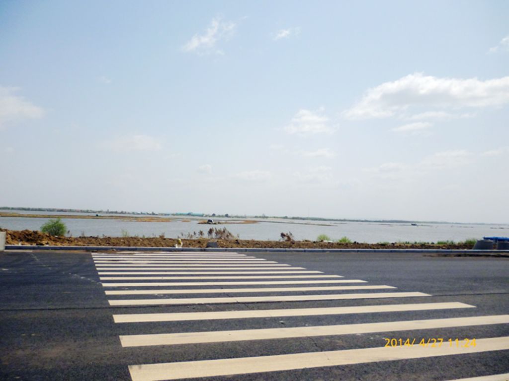 P1050463.jpg