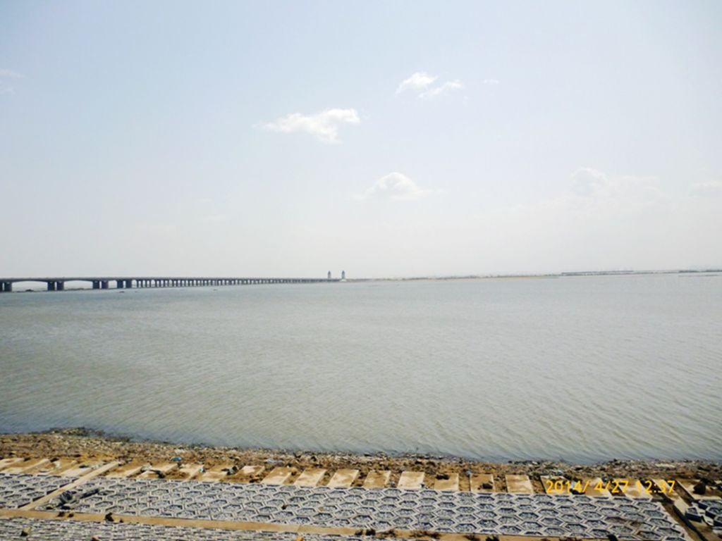 P1050487.jpg