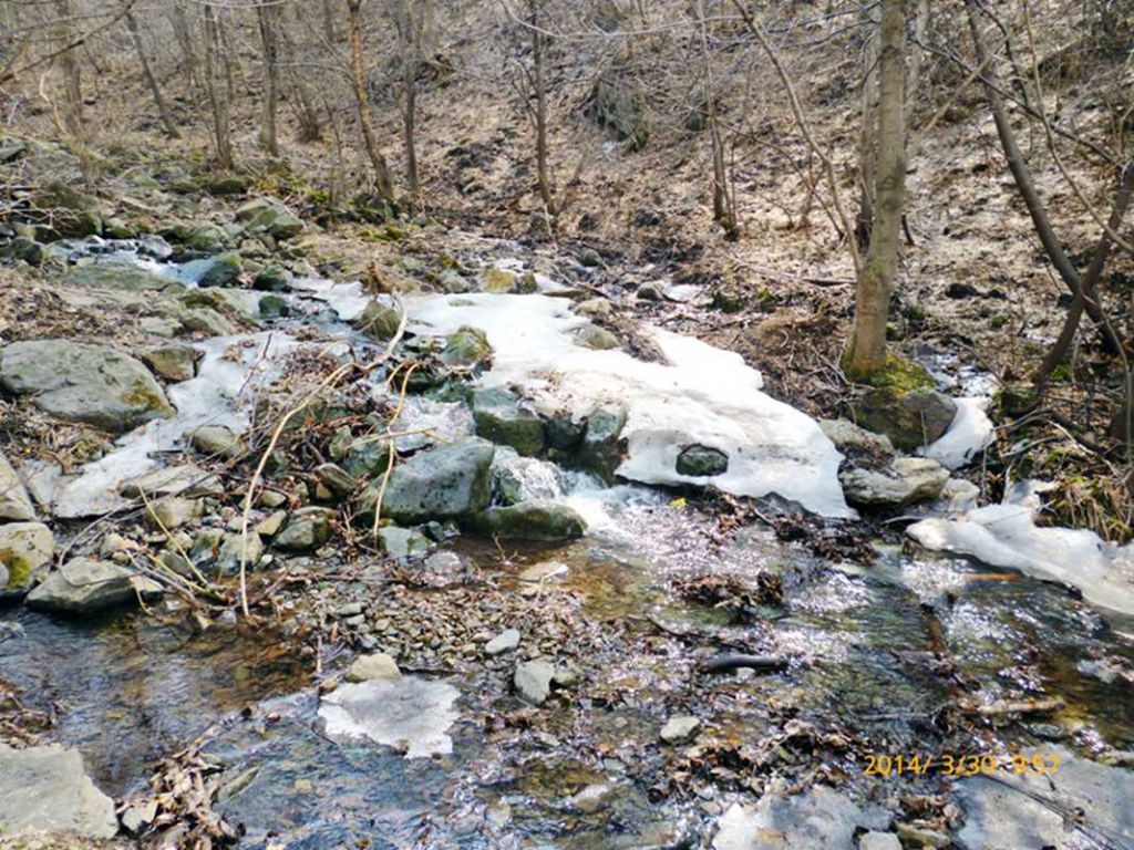 P1050075.jpg