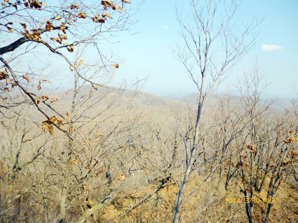 P1050086.jpg
