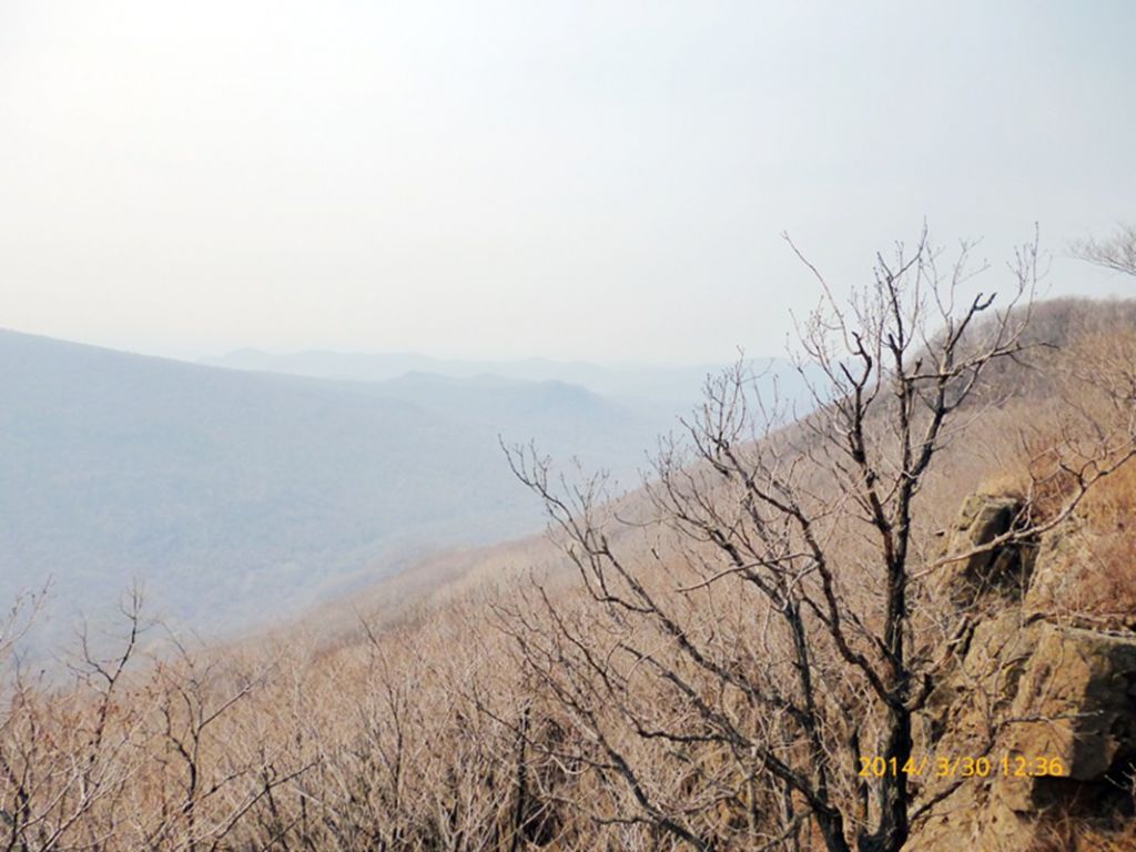 P1050136.jpg
