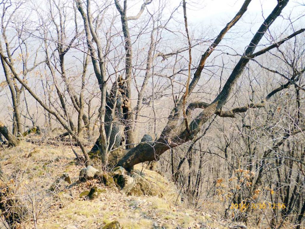 P1050154.jpg
