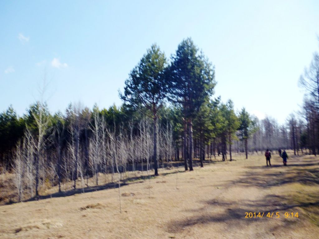 P1050171.jpg