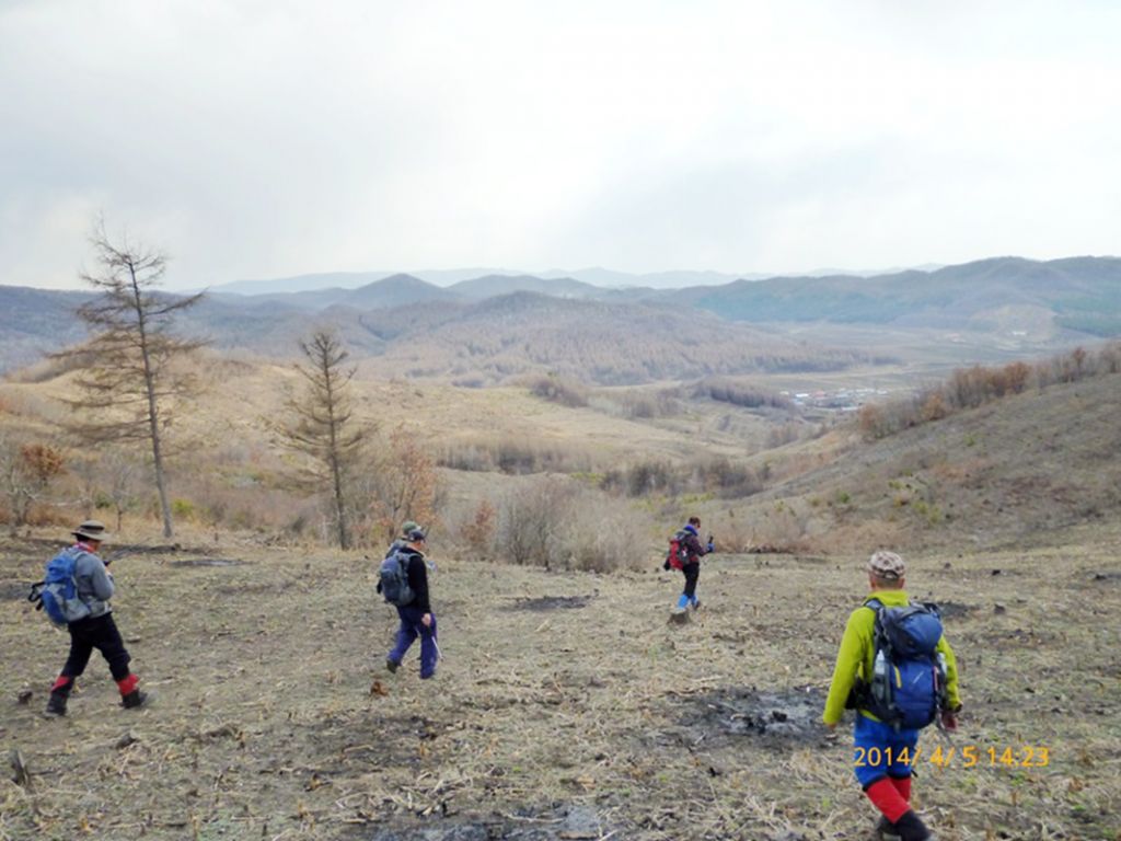 P1050231.jpg