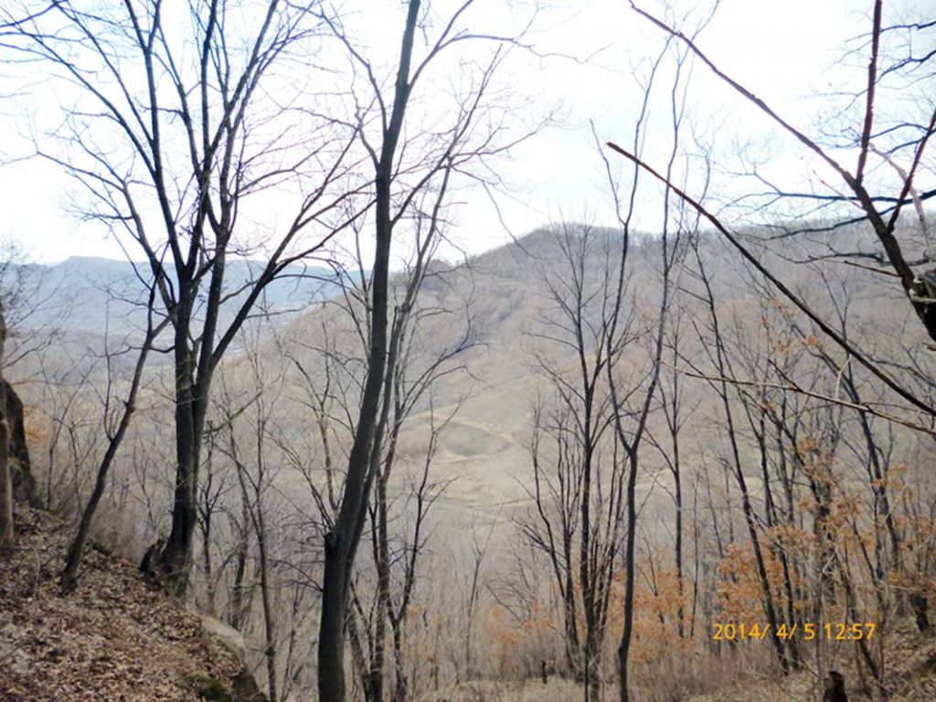 P1050217.jpg