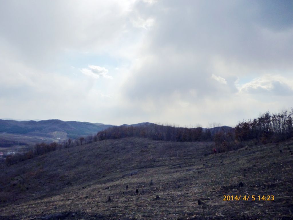 P1050232.jpg