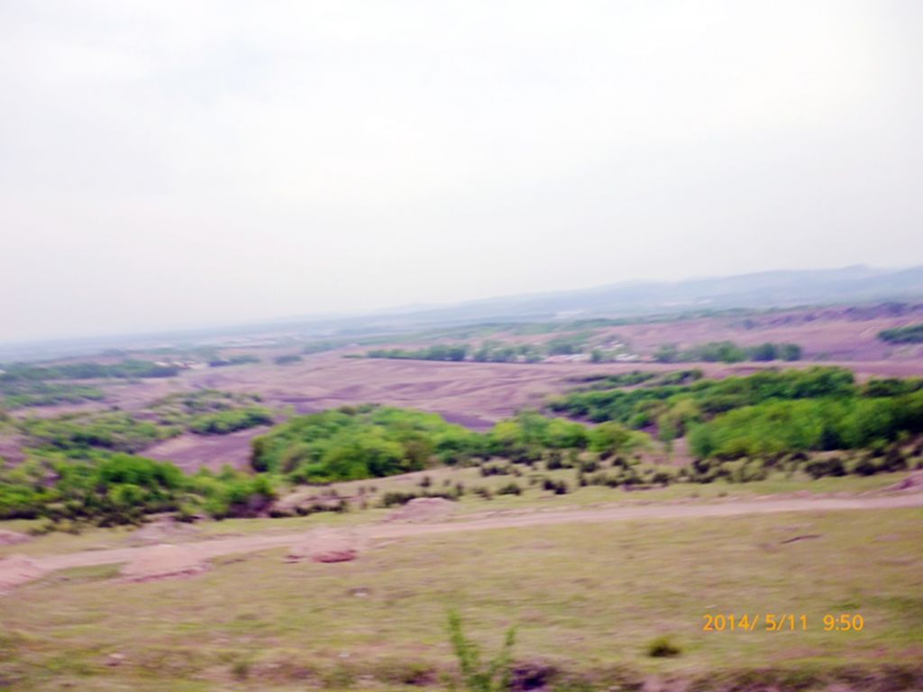 P1050517.jpg