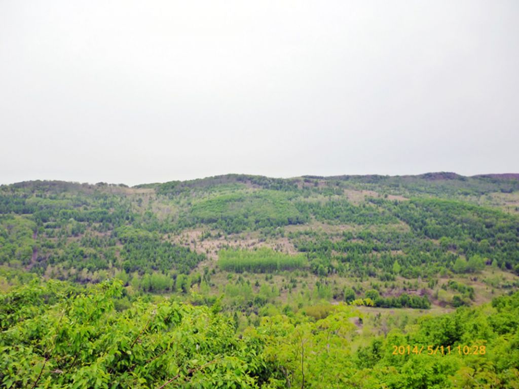 P1050530.jpg