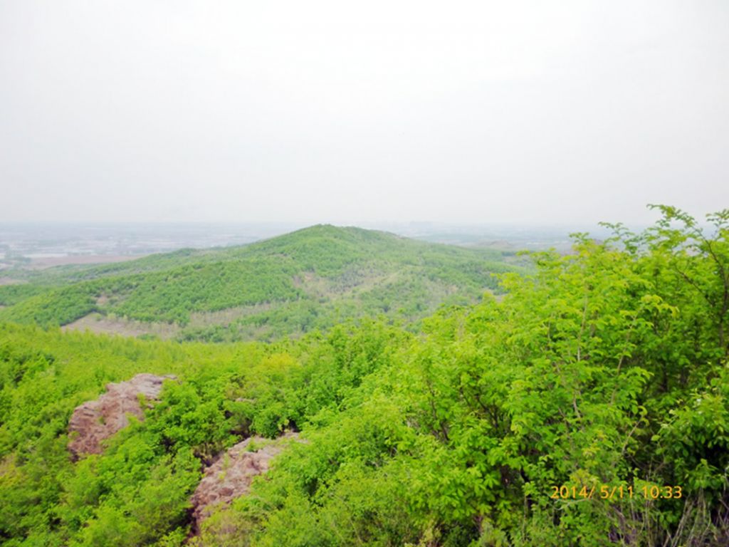P1050542.jpg