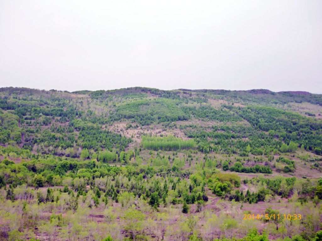 P1050541.jpg