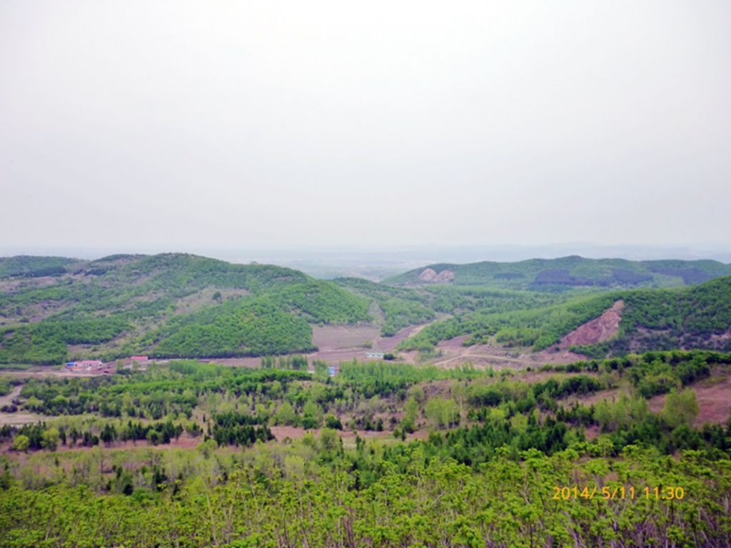 P1050550.jpg