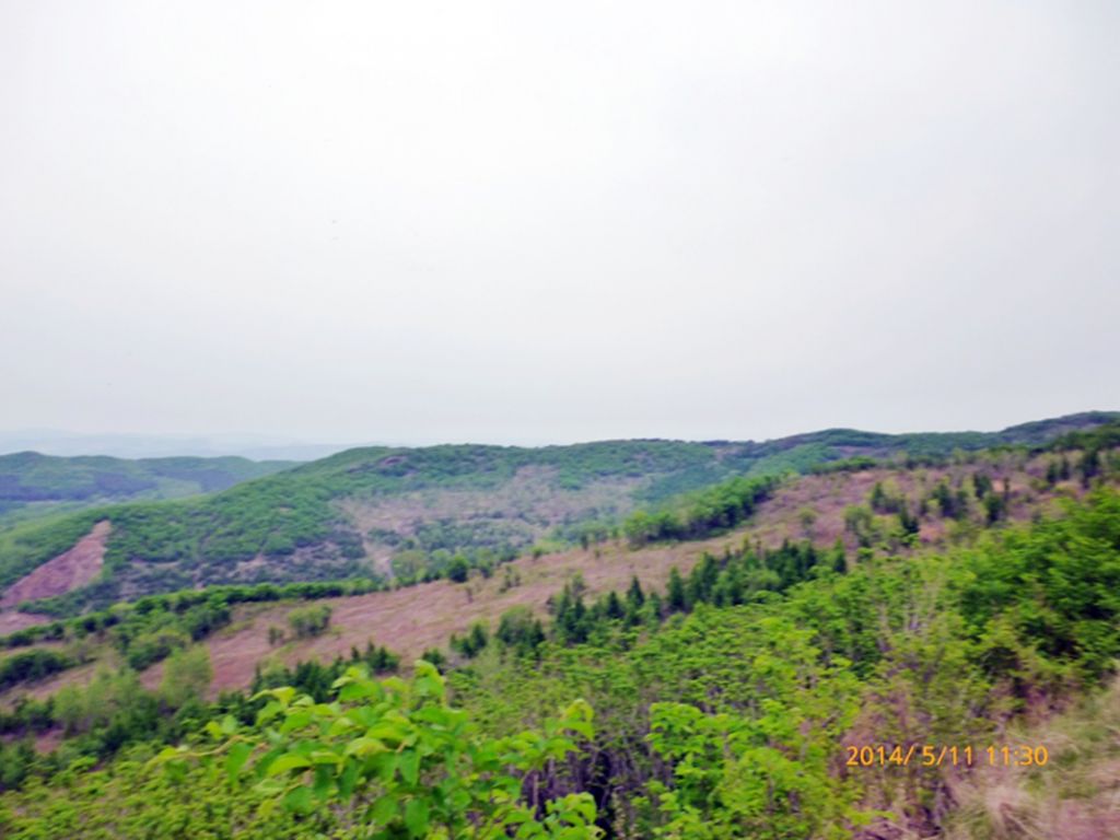 P1050551.jpg