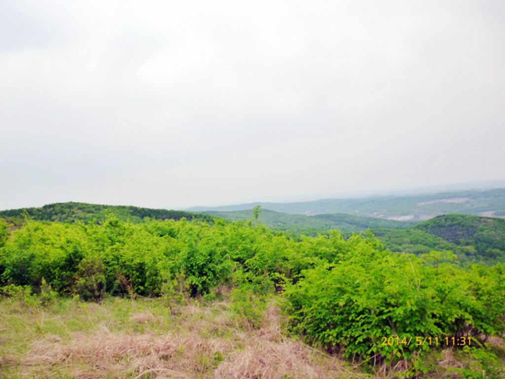 P1050554.jpg