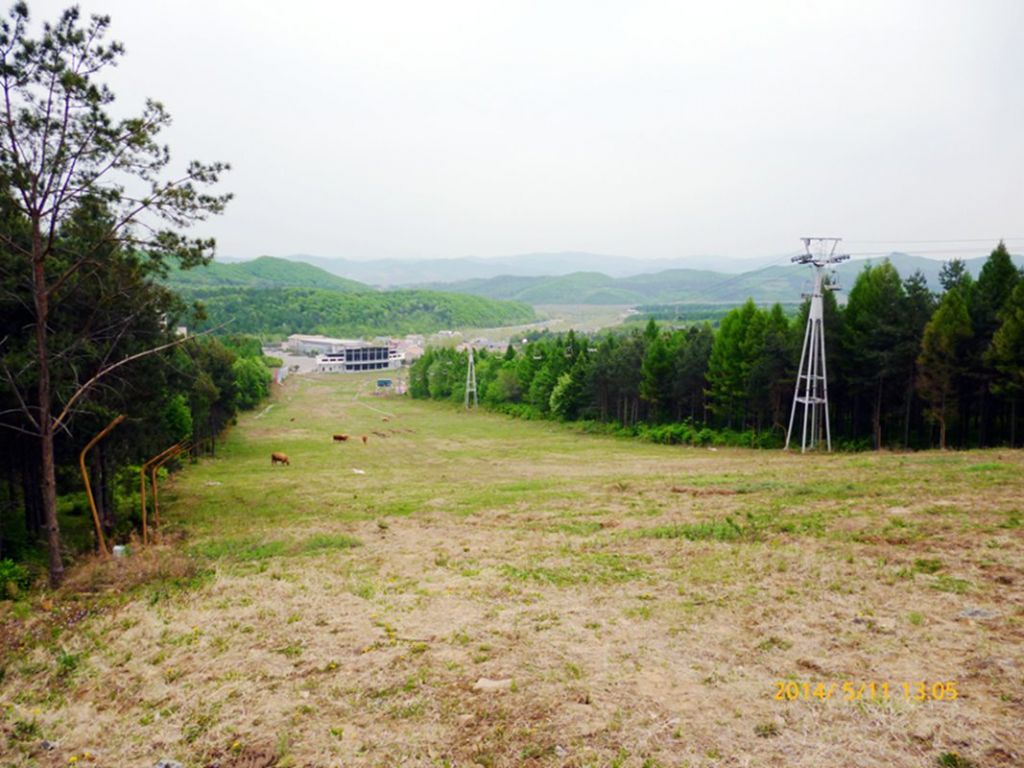 P1050567.jpg