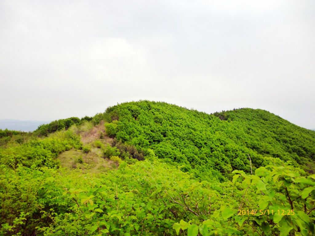 P1050558.jpg