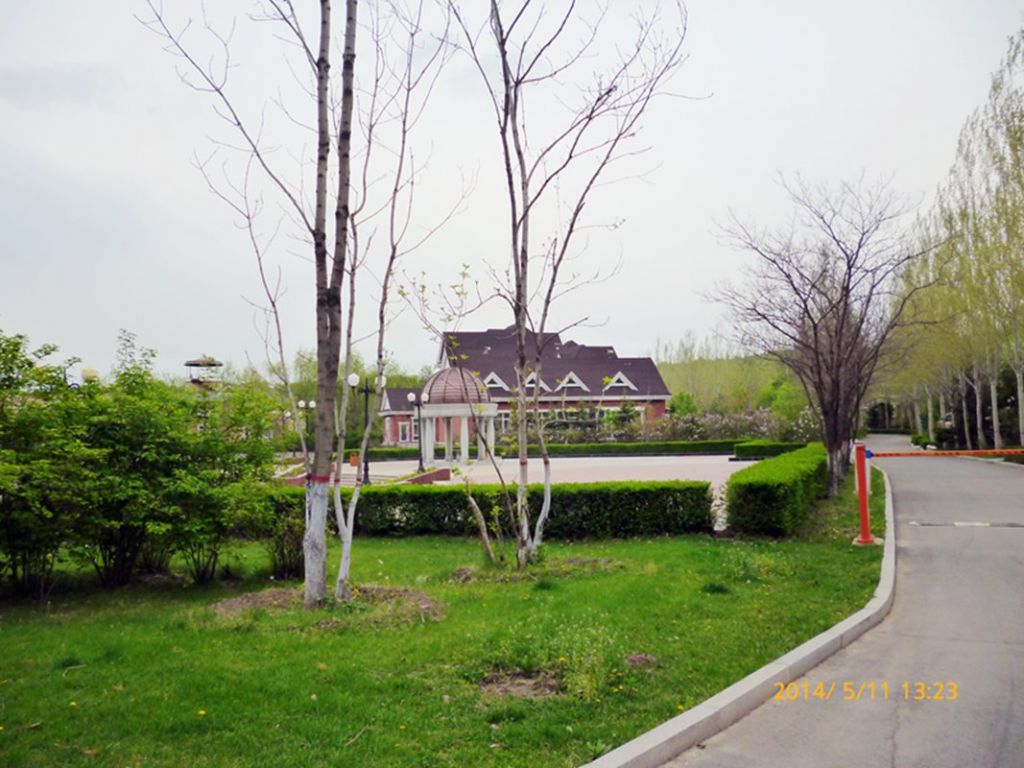 P1050574.jpg