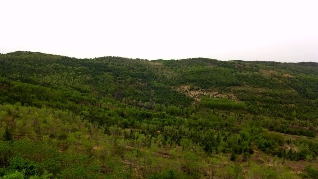 ��Ƭ 017.jpg