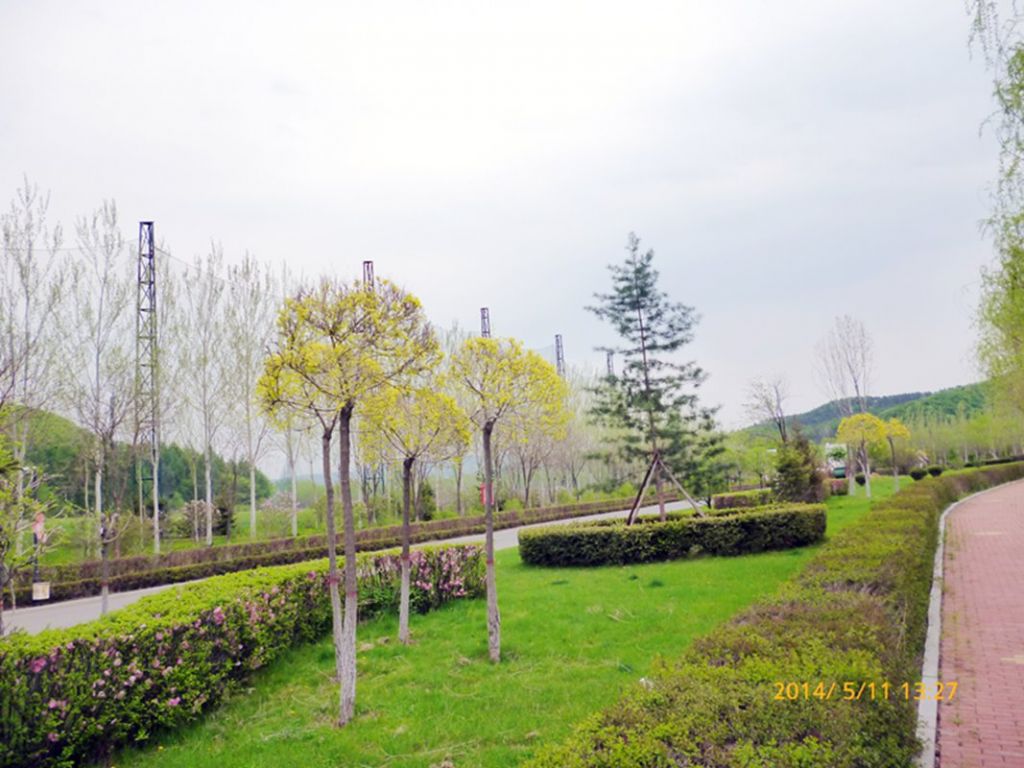 P1050585.jpg