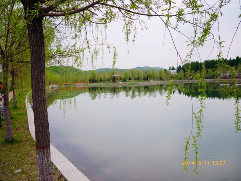 P1050583.jpg