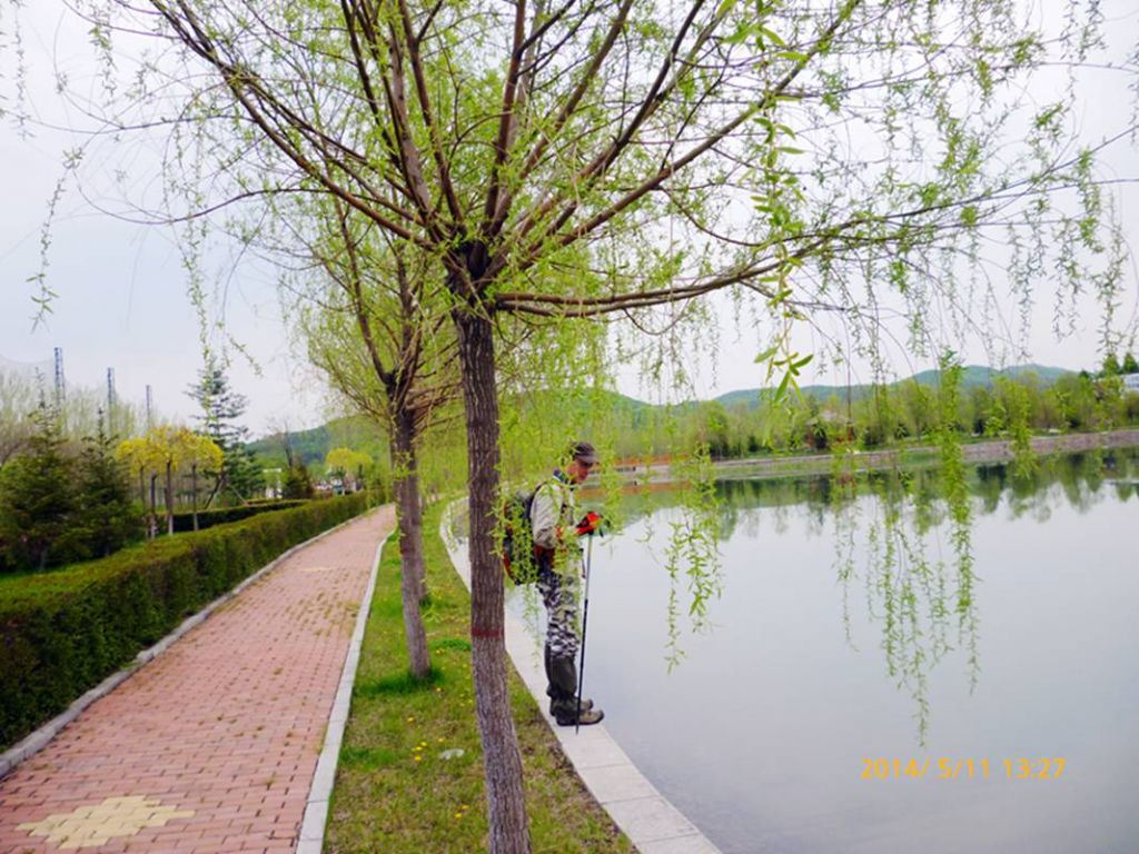 P1050584.jpg