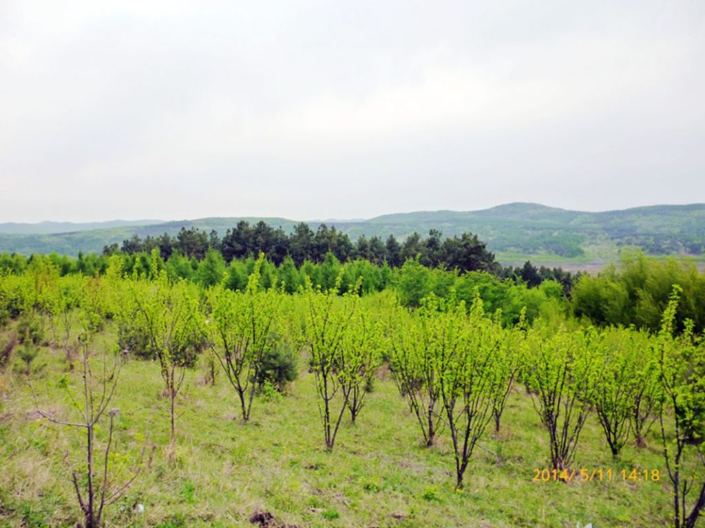 P1050593.jpg