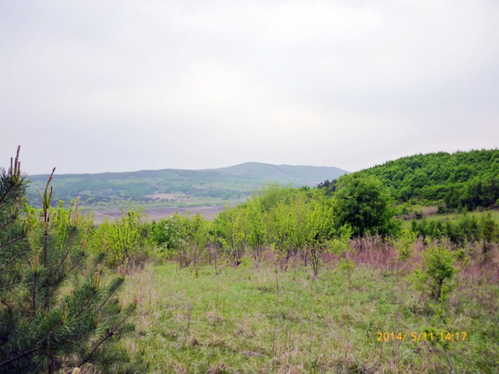 P1050591.jpg