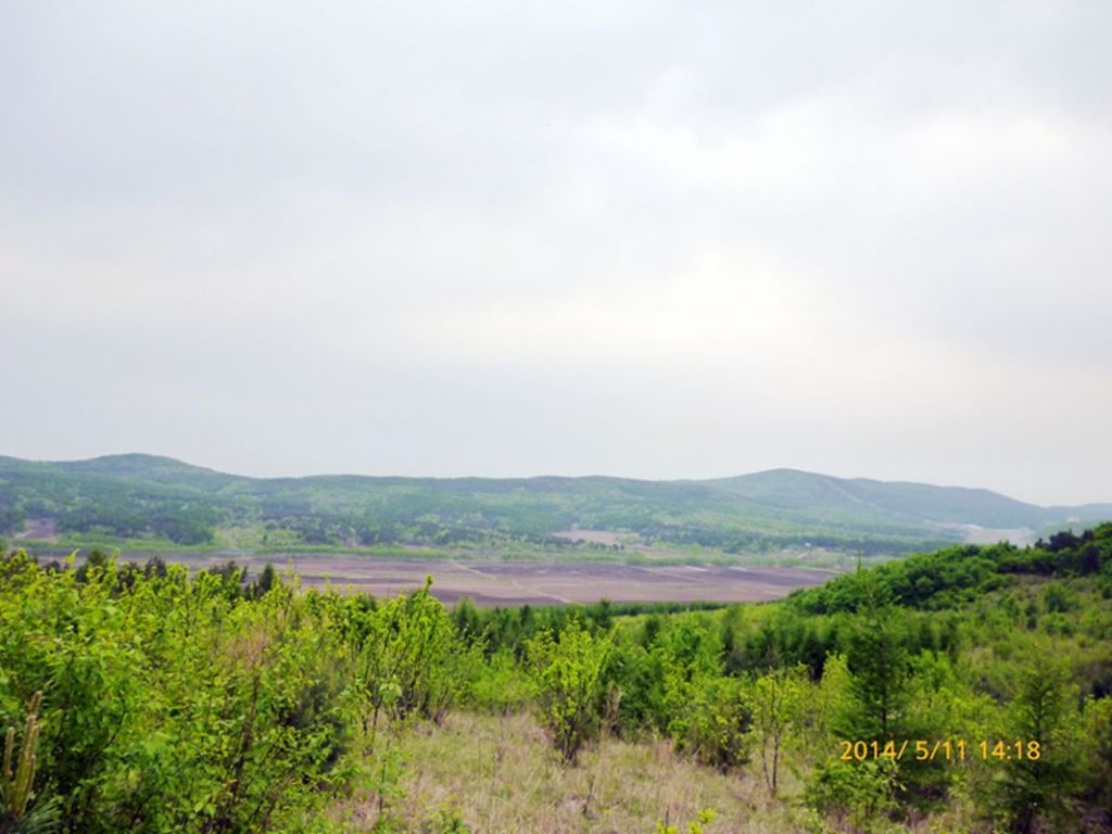P1050592.jpg