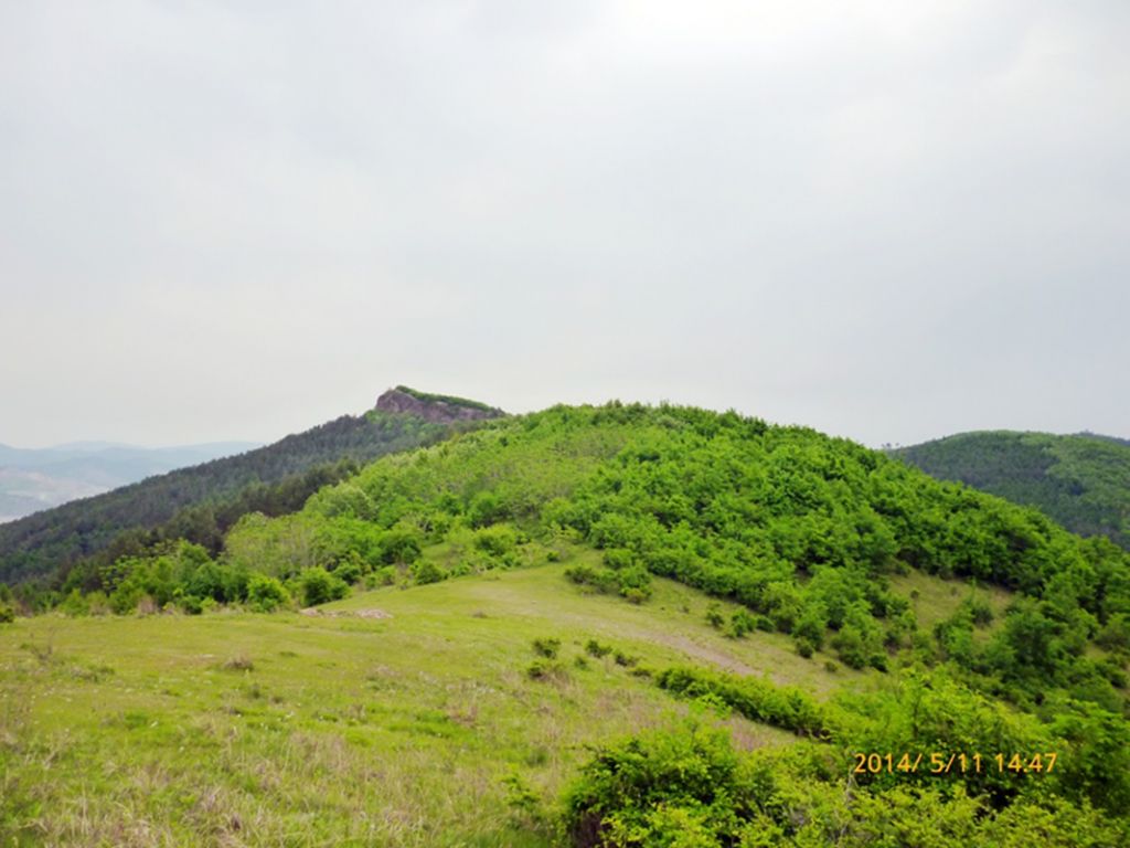 P1050601.jpg