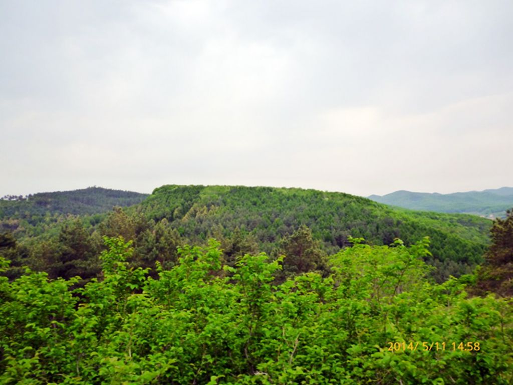P1050603.jpg