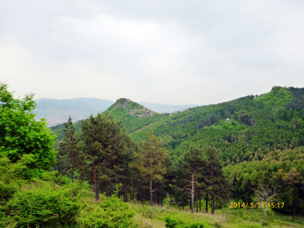 P1050614.jpg