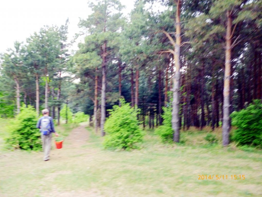 P1050611.jpg